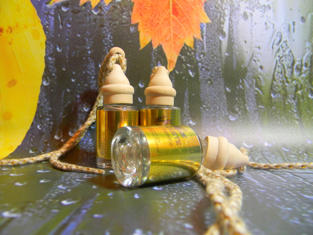 Автопарфюм Pour Femme women 12ml