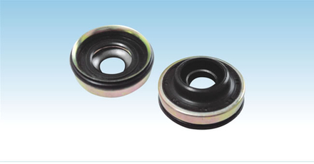 BSC10P