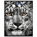 Тетрадь А5, 48 л., BRAUBERG ЭКО, клетка, обложка картон, ДИКИЕ И СВОБОДНЫЕ, 401810, 5шт