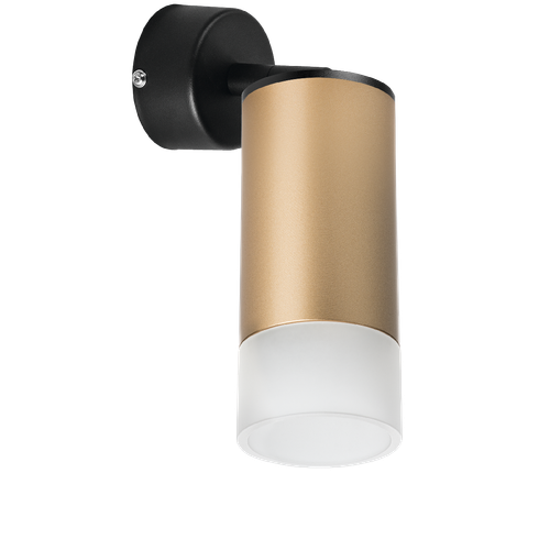 Встраиваемый спот Lightstar Rullo RB44031 (214440+590007+202431)