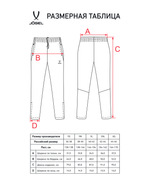 Брюки спортивные CAMP 2 Lined Pants, черный, детский