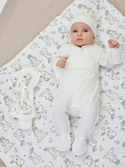 Конверт на выписку новорожденного осень без костюма