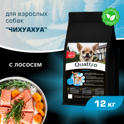 Корм сухой для взрослых собак породы Чихуахуа, с лососем, 12 кг, QUATTRO
