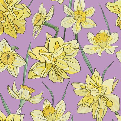 Весенние цветущие нарциссы.