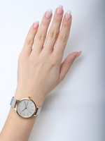 Женские наручные часы Skagen SKW2702