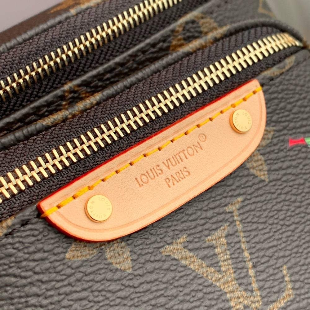 Louis Vuitton Mini Bumbag