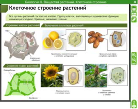 Электронные плакаты и тесты. Биология. Вещества растений. Клеточное строение