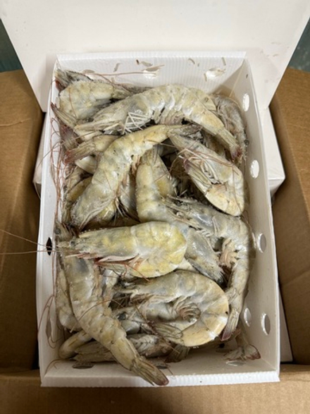 Креветка Ваннамей 30/40 1.4кг Эквадор