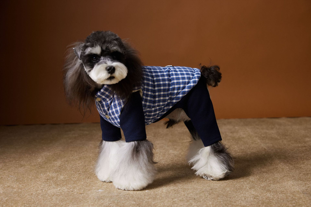 Жилетка пуховая для собак Клетка