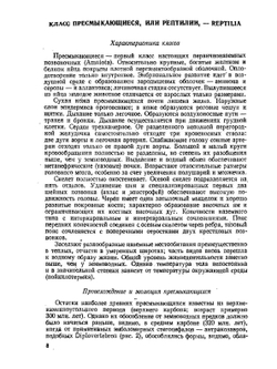 Зоология позвоночных. Часть 2. Пресмыкающиеся, птицы, млекопитающие | Н. П. Наумов; Н. Н. Карташев