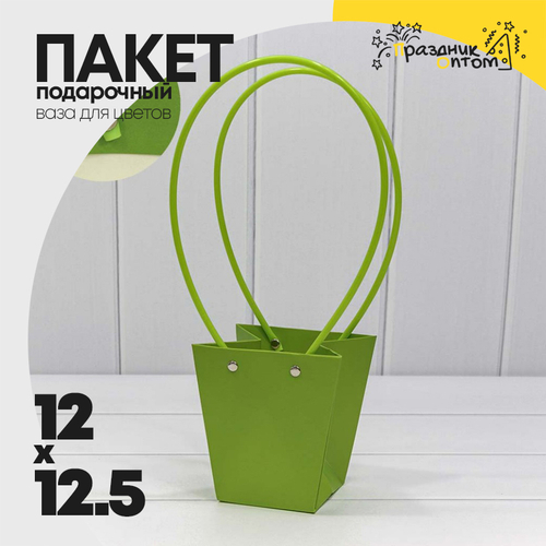 Пакет подарочный 12.5х12х8см Ваза для цветов (Салатовый)