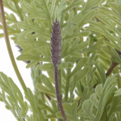 GAEM Цветочная композиция, L19 W19 H34 см, 2в.