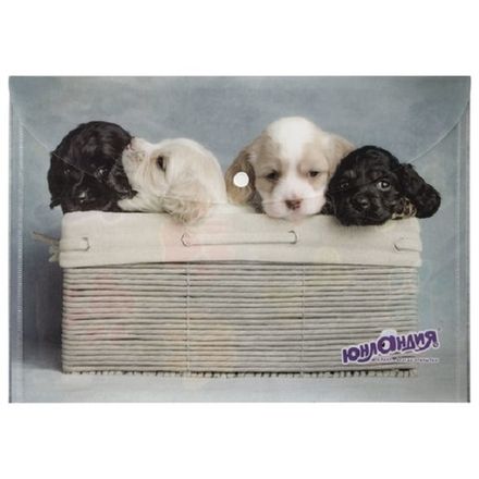 Папка-конверт на кнопке А4, Юнландия Щенки, 160мкм