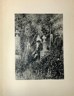 Пушкин А. С. Бахчисарайский фонтан. Поэма. М., Типо-лит М. Я. Минкова, 1899г.