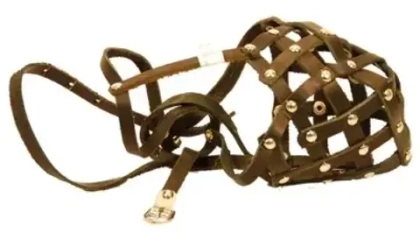 ЗООТЕХНОЛОГИЯ Намордник кожаный для собак №6 (кавказец)