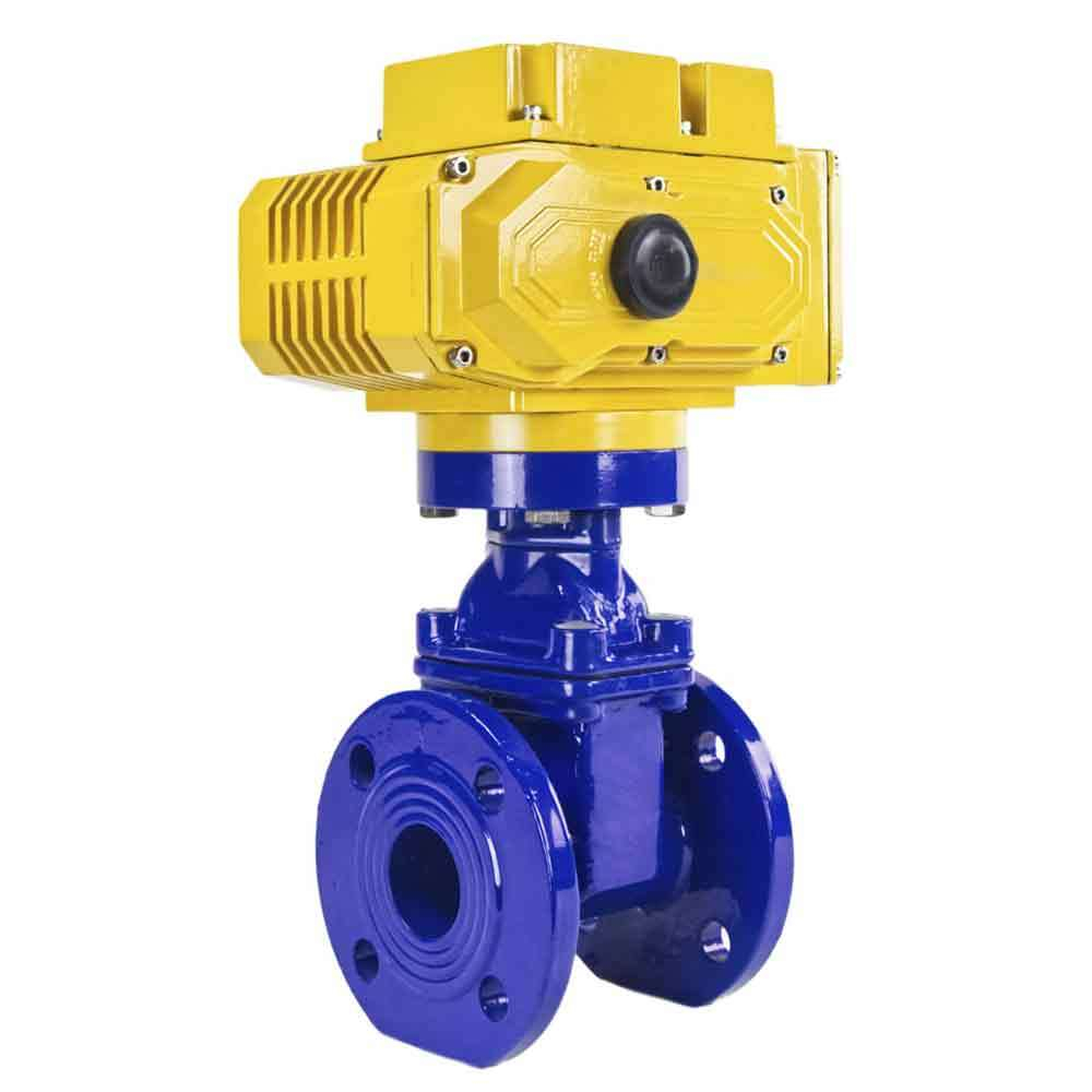 Wedge gate valve 30c939r blue Elephant-GGG50-EPDM-F4-BLUE PSI232 class 150 T≤230-248°F flange connection, with rubber lined wedge EPDM, electric actuator Elephant MT-110/220, 110/220V