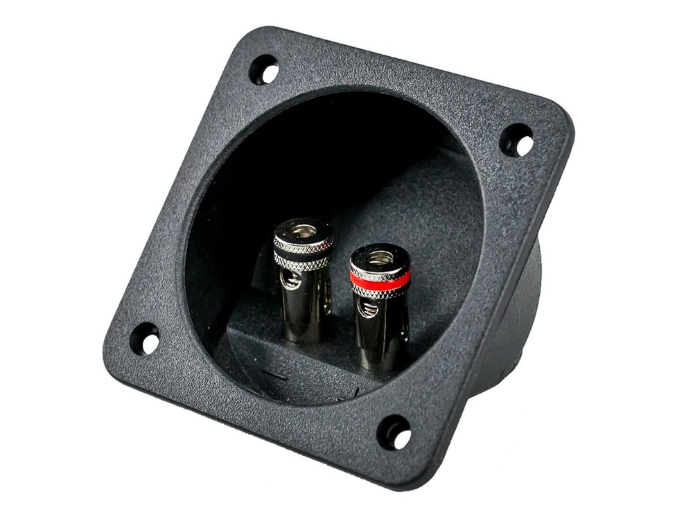 Акустический терминал WTB-068N - BUZZ Audio