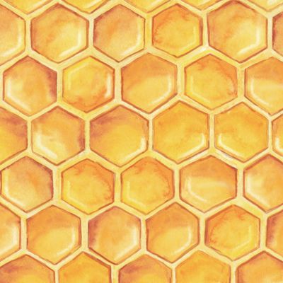 Медовые соты, акварель