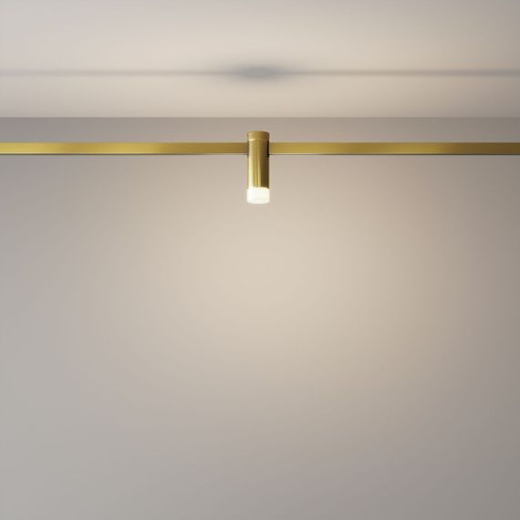 Трековый светодиодный светильник Maytoni Flarity Skim TR145-1-3W4K-W-BS