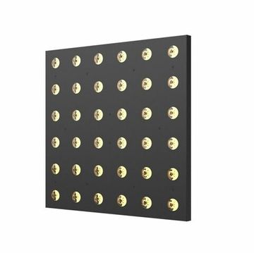 ACME ANIMA W/ANIMA C С