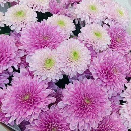 Соберу букет №410