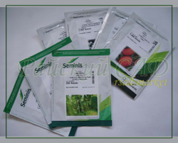 Перец сладкий Джипси F1 (Seminis | Alexagro) 5шт.