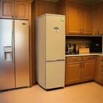 Холодильник DON R-290 Z