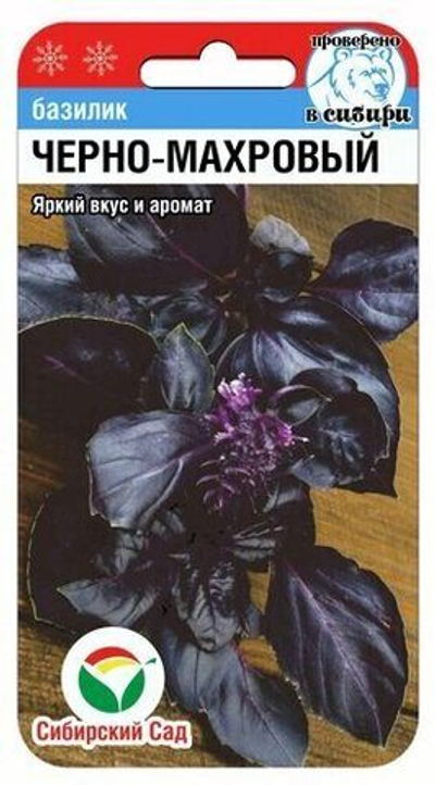 Базилик Черно махровый 0,5г (Сиб Сад)