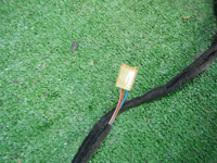 DSCN0236.JPG