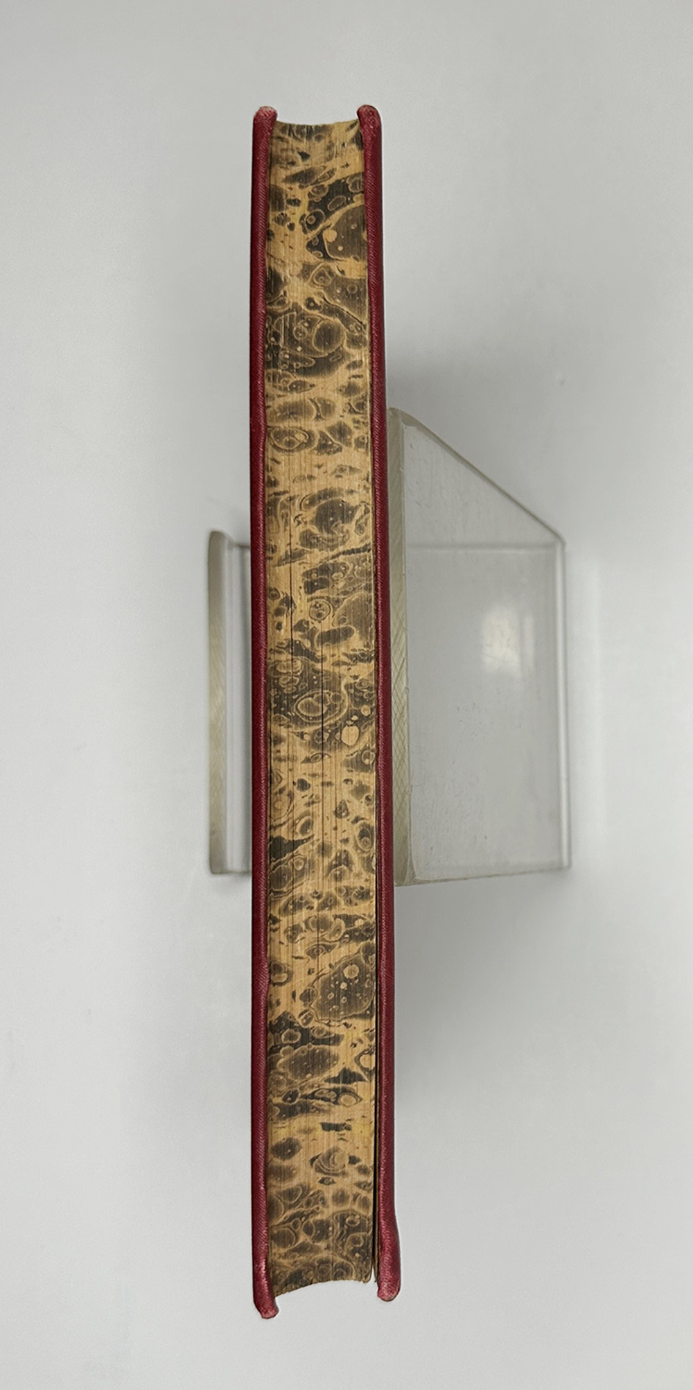 Кайгородов. Д. Из зелёного царства.Популярные очерки из мира растений. СПб., 1912