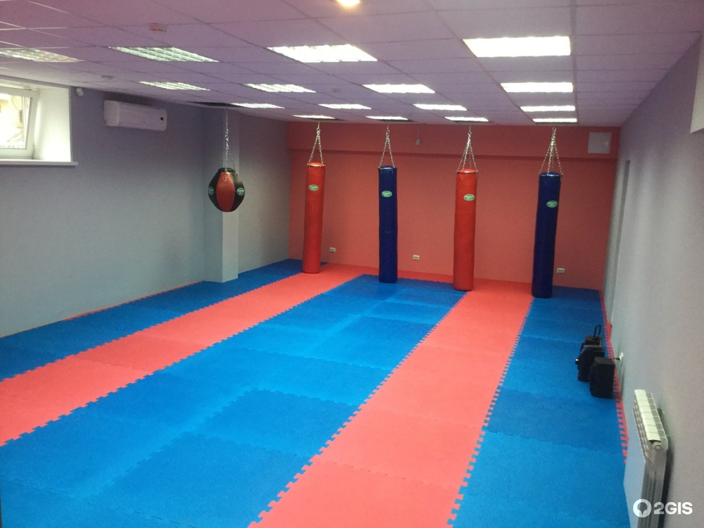 Будо-мат (татами) BABYPUZZ (1 плита 100x100x2,5см, 1кв.м./уп) "Сине-красный"