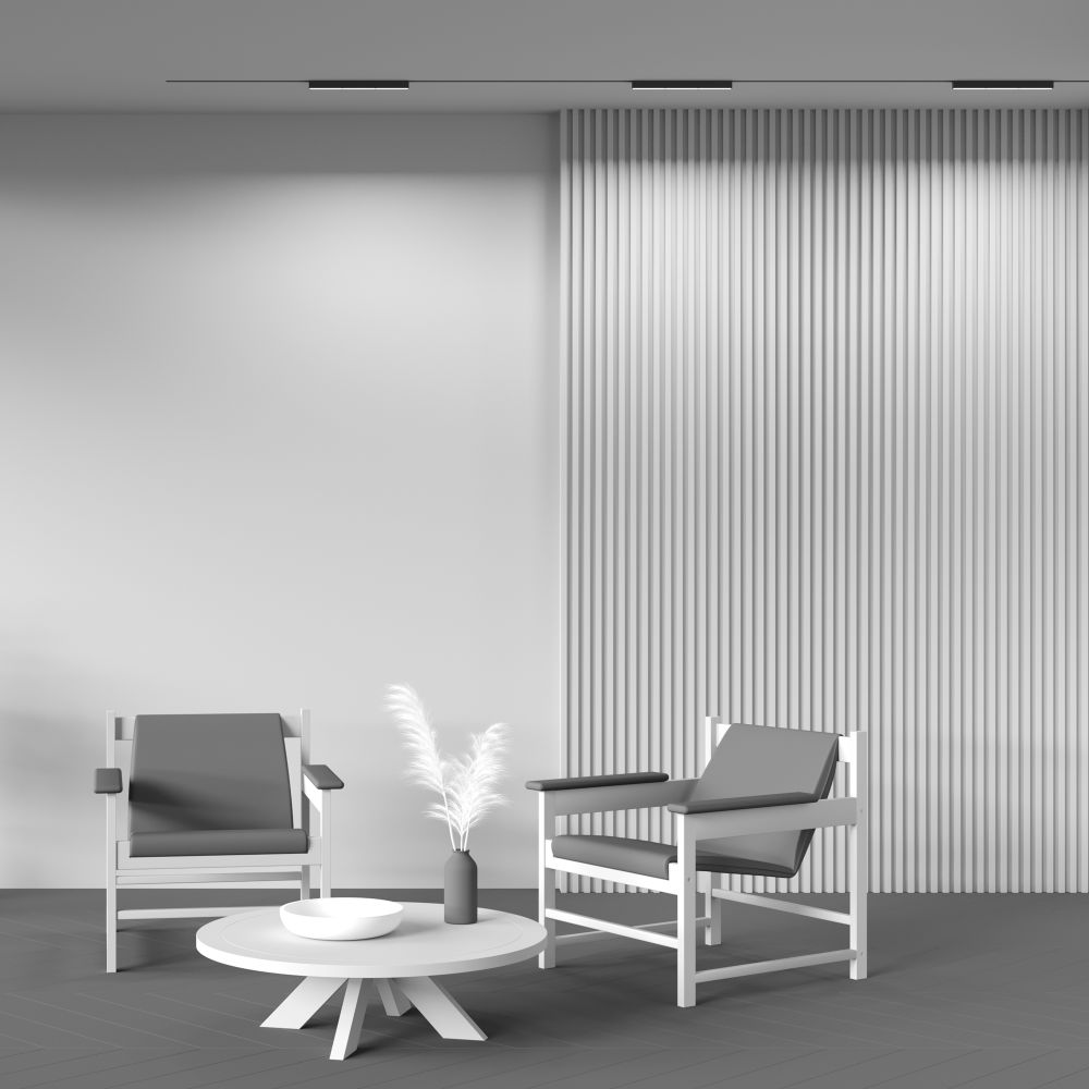 Трековый магнитный светодиодный светильник Maytoni   TR106-2-18W3K-B