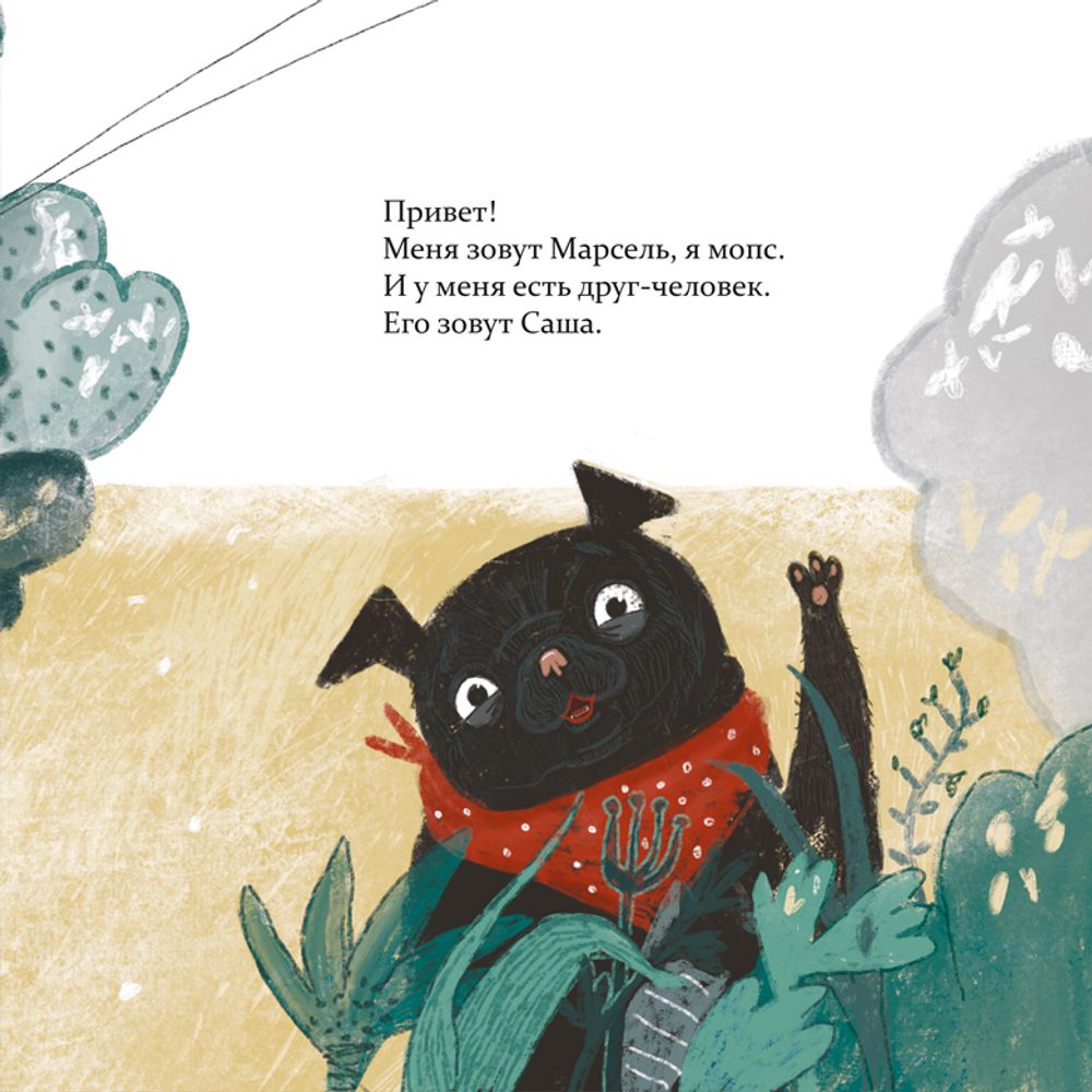 Марсель встает на лапы