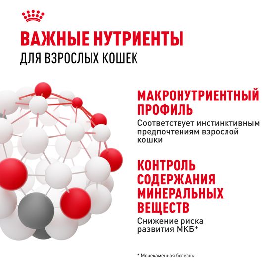 Royal Canin Instinctive влажный корм в Желе для кошек и котов старше 1 года