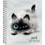 ТЕТРАДЬ ОБЩАЯ 48 ЛИСТОВ НА СПИРАЛИ “Глазастые котики”