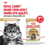 Royal Canin Maine Coon Adult Корм консервированный для взрослых кошек породы Мэйн Кун соус 85г