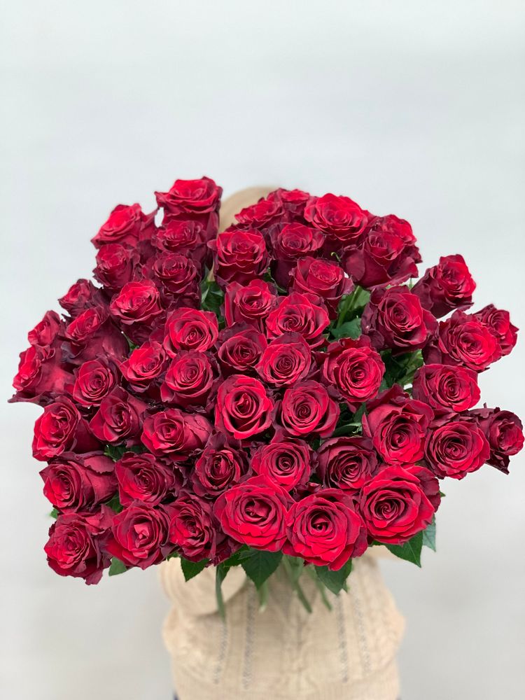 Букет 50 красных роз Эквадор 50см в ленте