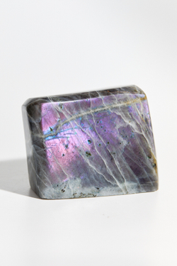 Срез Лабрадора L