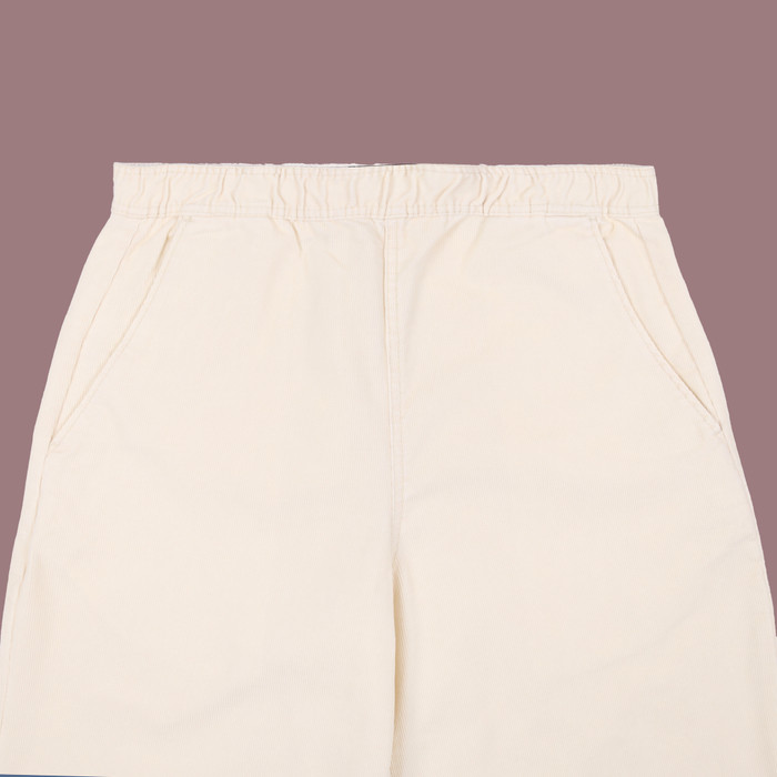 Брюки мужские Dickies Chase City Pant артикул:DK0A4YSAF901 - купить в магазине Дайс