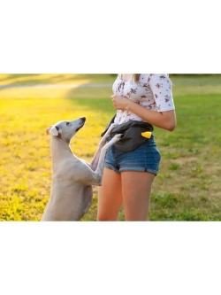 Сумка на пояс, сумка для лакомств собак