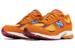 Кроссовки Salehe Bembury X New Balance Nb 2002R "Peace Be The Journey"