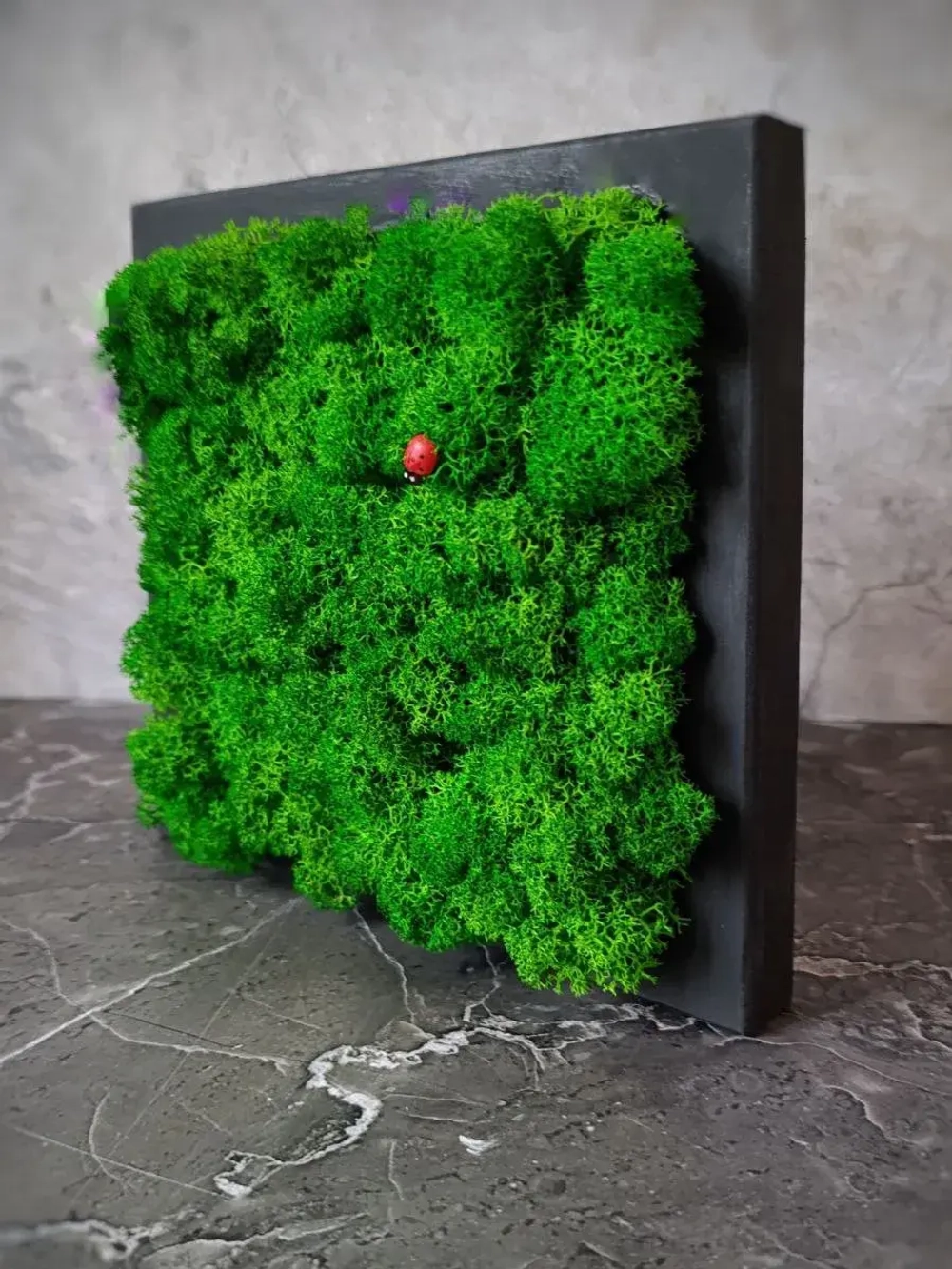 Панно из мха набор 3 шт.