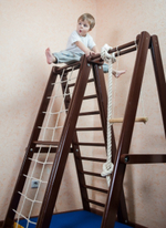 Детский спортивный комплекс Добрыня