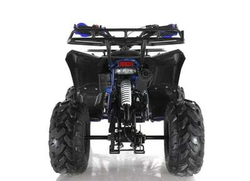 Квадроцикл WELS THUNDER EVO