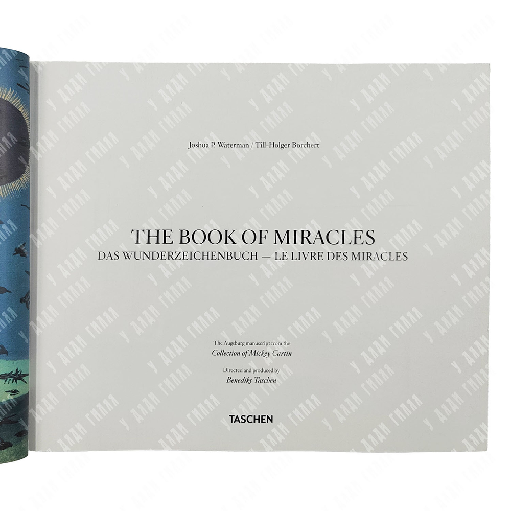 Борхет, Т.Х., Ватерман Д. Книга чудес. [The Book of Miracles. Das Wunderzeichenbuch...], 2022