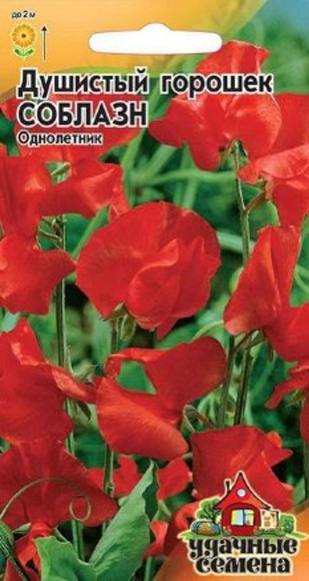 Душистый горошек Соблазн/Удачные семена  1гр Гавриш