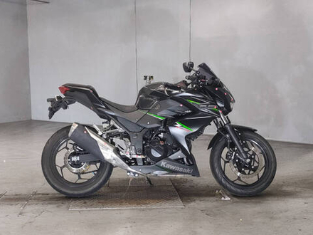 Kawasaki Z250 2013