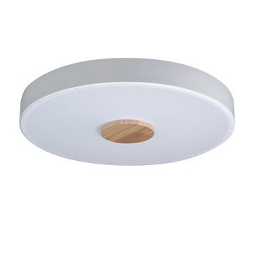 Потолочный светильник LED 24W 4000К 10003/24 White белый Axel LOFT IT