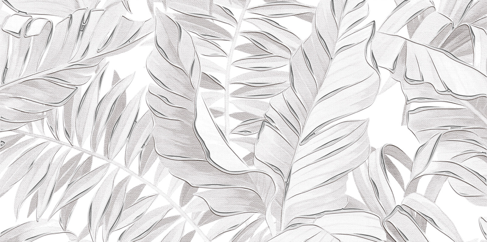 Бонита / Bonita