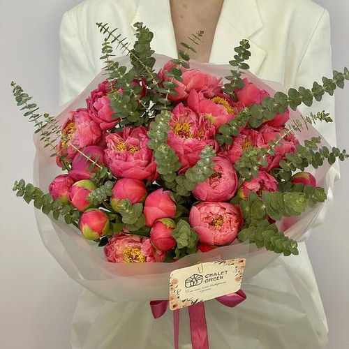 Монобукет из 25 пионов Коралл Шарм c эвкалиптом. Монобукет 038 Chalet Green